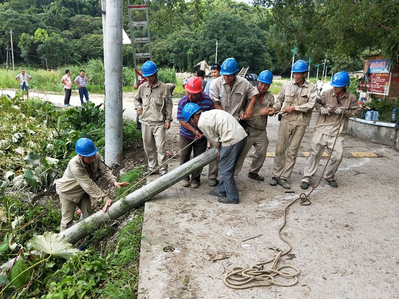 й8827̫(ɷ)޹˾-ٷվ