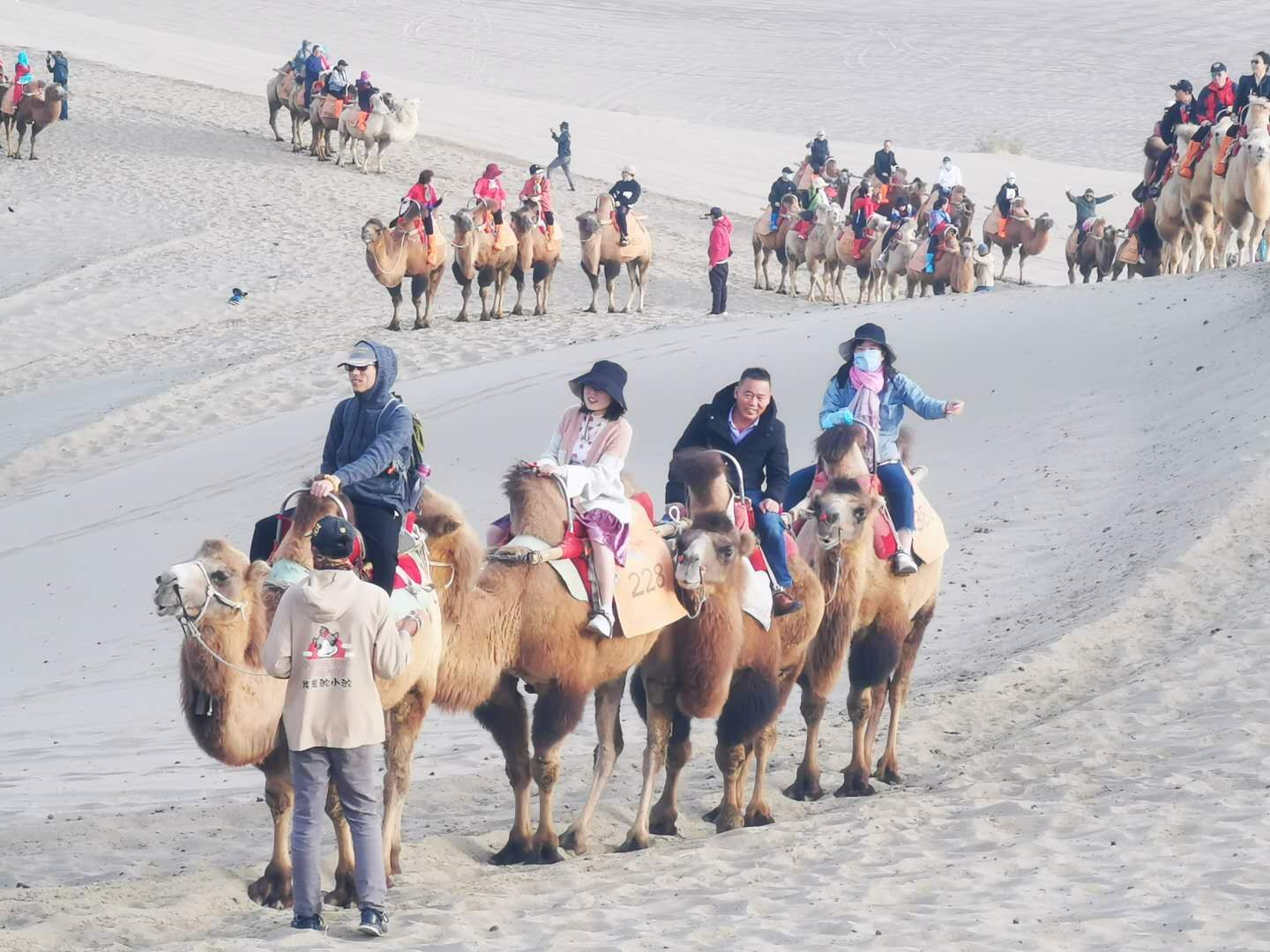 й8827̫(ɷ)޹˾-ٷվ