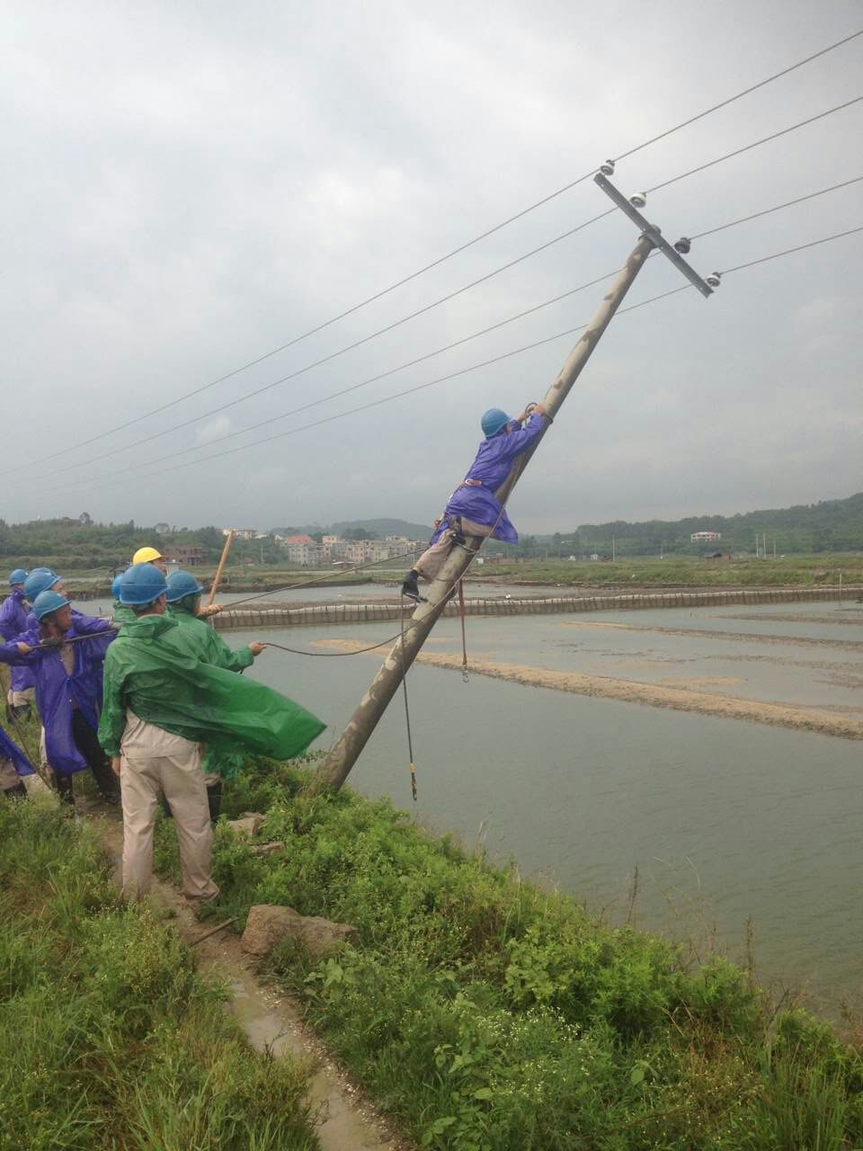 й8827̫(ɷ)޹˾-ٷվ