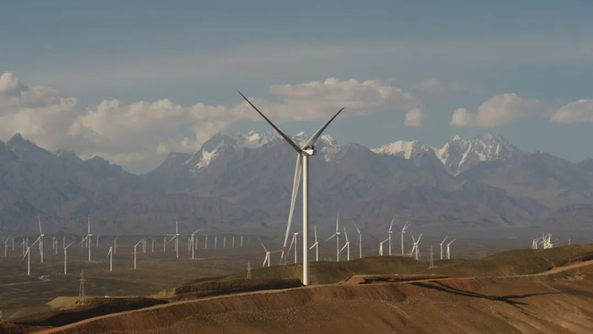 й8827̫(ɷ)޹˾-ٷվ