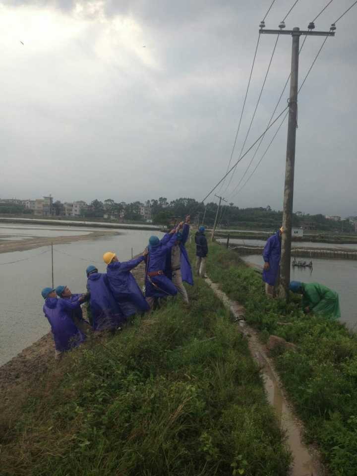 й8827̫(ɷ)޹˾-ٷվ