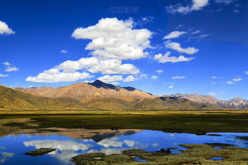 й8827̫(ɷ)޹˾-ٷվ