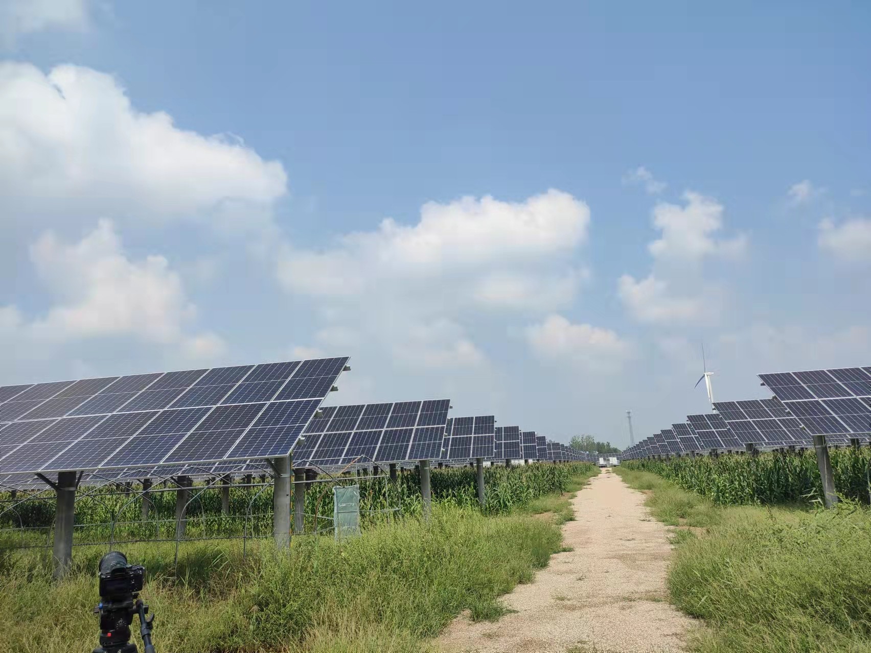 й8827̫(ɷ)޹˾-ٷվ